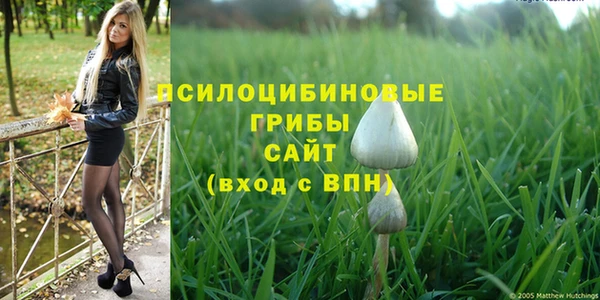 кокаин перу Богородицк
