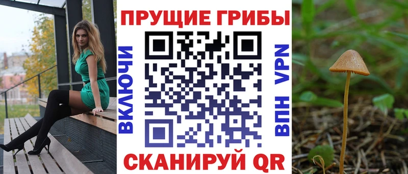Галлюциногенные грибы мухоморы  где купить   Великий Устюг 